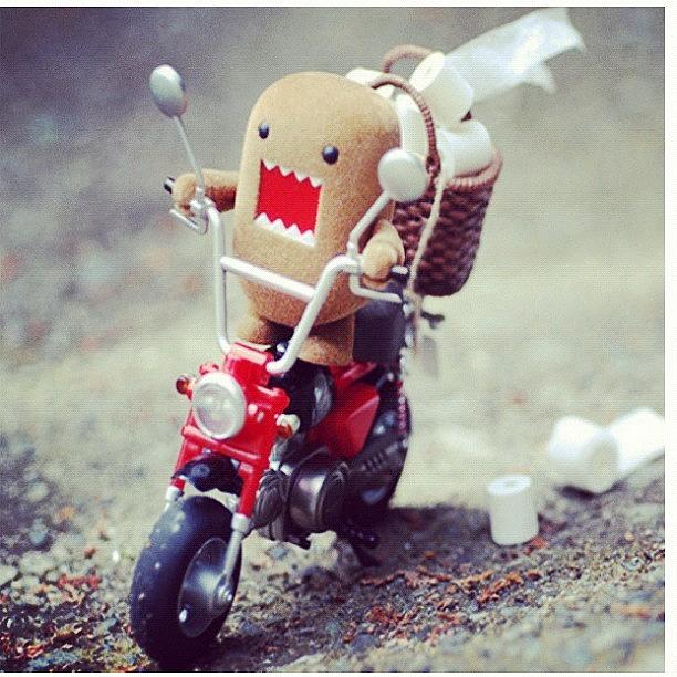 Toiletpaper Photograph - #domo #motorbike #toiletpaper Need I by Katie Ball Toiletpaper Photograph - #domo #motorbike #toiletpaper Need I by Katie Ball