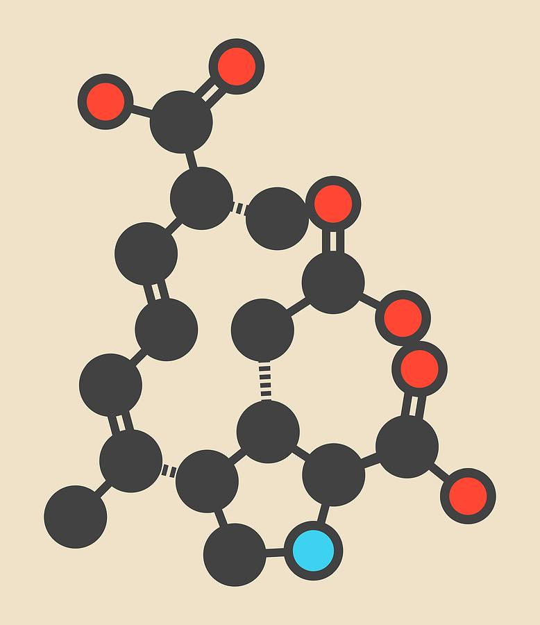 Domoic Acid Algae Poison Molecule Photograph by Molekuul/science Photo