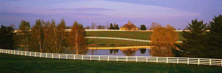Lexington Photograph - Donamire Farm Ky by Panoramic Images