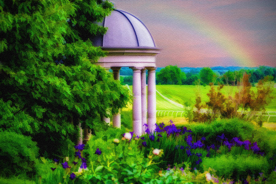 Donamire Rainbow Photograph by Mary Timman
