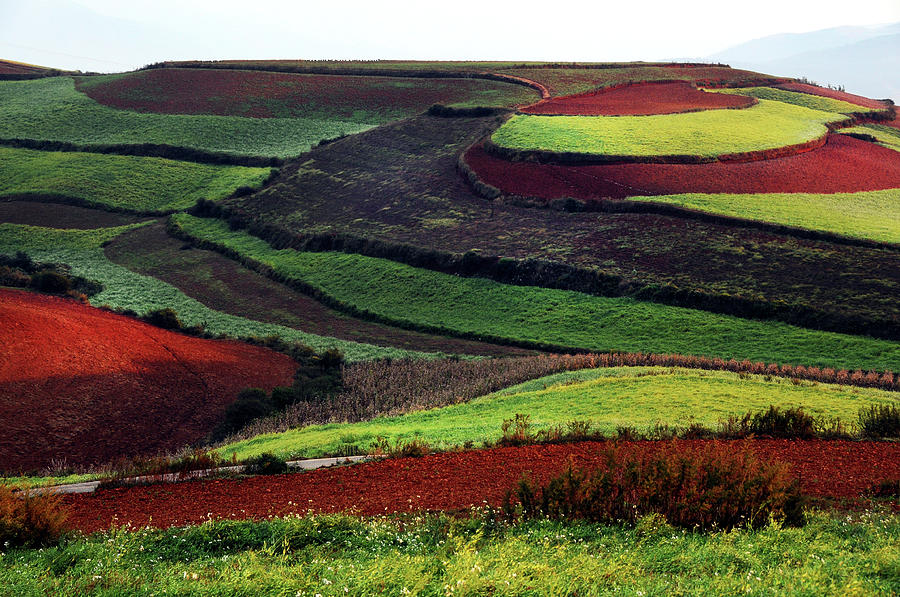 Dongchuan Red Earth Terraces Field Photograph by Melindachan