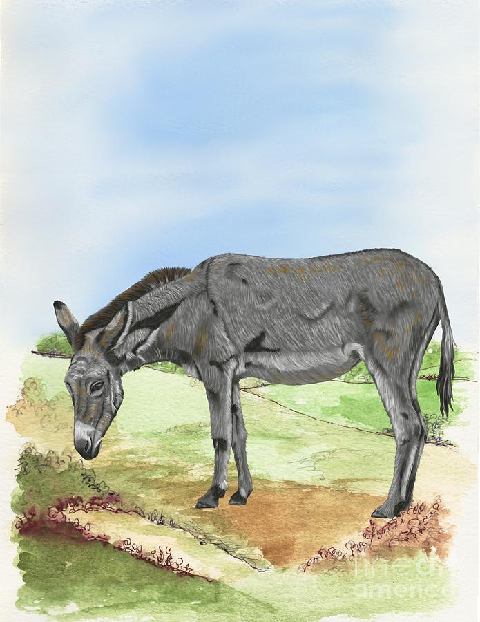 Donkey Digital Art - Donkey by Karen Sheltrown