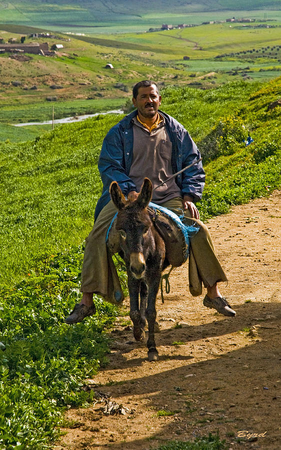 Donkey rider Photograph by Christopher Byrd