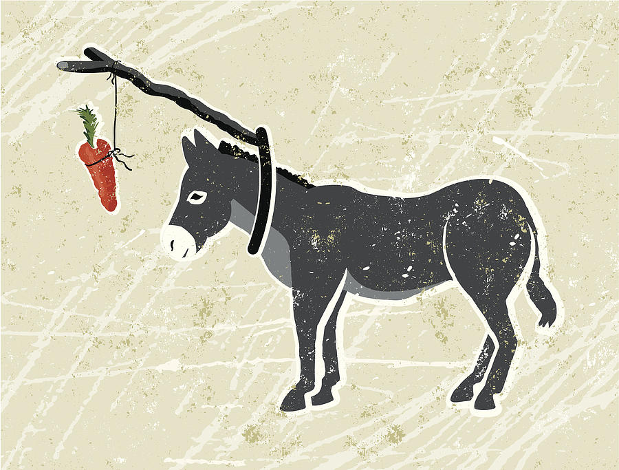 Donkey with Carrot and Stick Drawing by Mhj