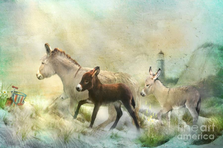 Donkeys Day Off Digital Art by Trudi Simmonds