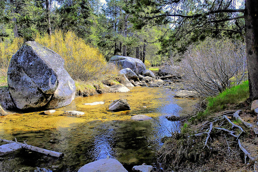 Landscape Digital Art - Donner Creek by Ronald Hurst