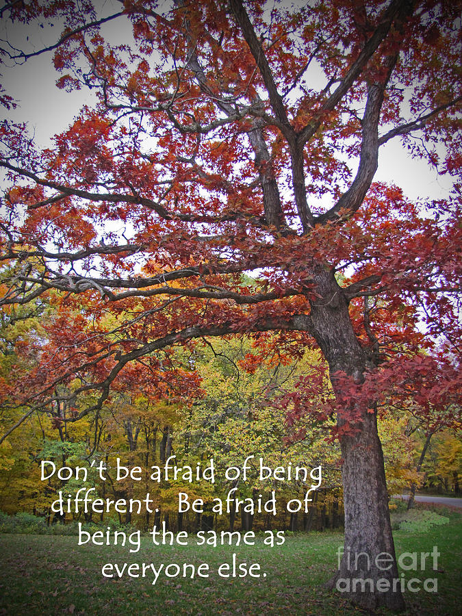 Tree Photograph - Dont Be Afraid of Being Different by Minding My  Visions by Adri and Ray
