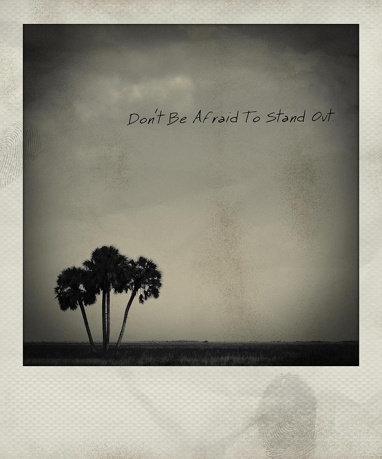 Dont Be Afraid To Stand Out Polaroid Photograph by Bradley R Youngberg