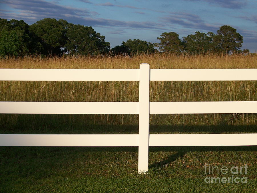 Nature Photograph - Dont Fence Me In by Kevin Croitz