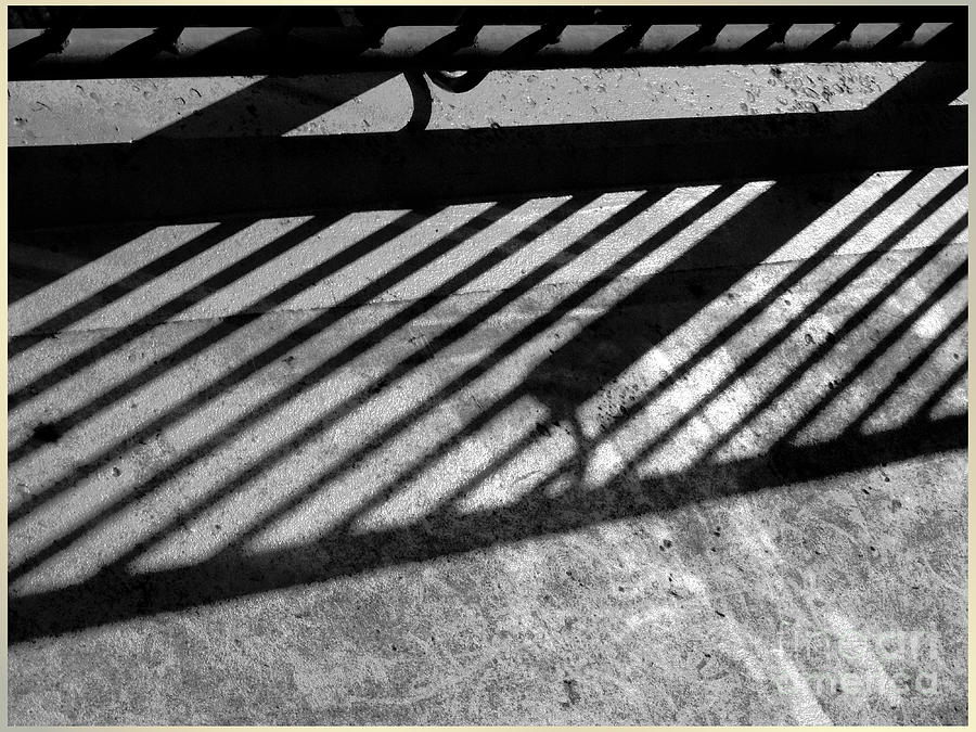 Don't fence me in by Luc Van de Steeg Don't fence me in by Luc Van de Steeg