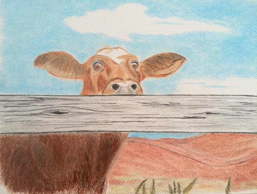 Animal Drawing - Dont fence me in by Tony Clark