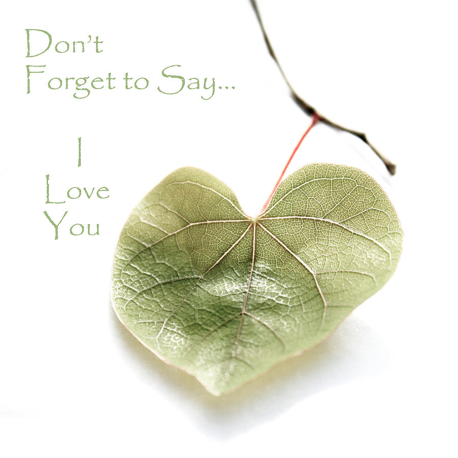 Dont forget i love you