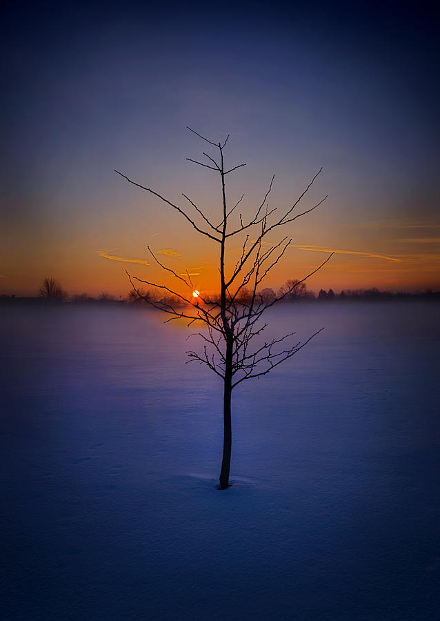 Winter Photograph - Dont Give Up On Me by Phil Koch