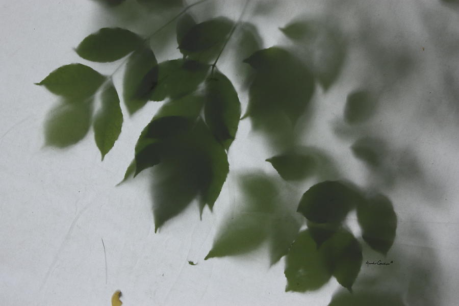 Leaves Photograph - Dont Leaf Me by Heather Gallup Leaves Photograph - Dont Leaf Me by Heather Gallup