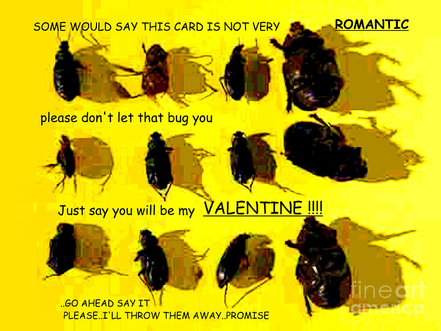 Dont Let It Bug You Valentine Photograph by Joe Pratt