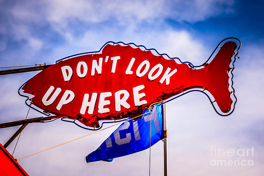 Newport Beach Photograph - Dont Look Up Here Crab Cooker Sign Photo by Paul Velgos