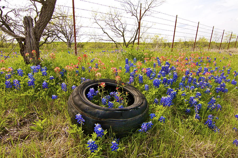 Spring Photograph - Dont Mess with Texas by John Babis