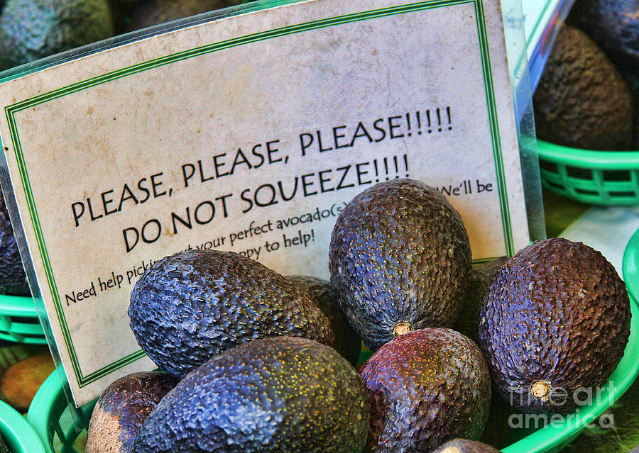 Dont Squeeze the Avocados By Diana Sainz Photograph by Diana Raquel Sainz