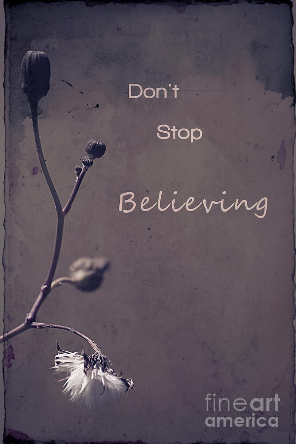 Dont Stop Believing Photograph by Aimelle Ml