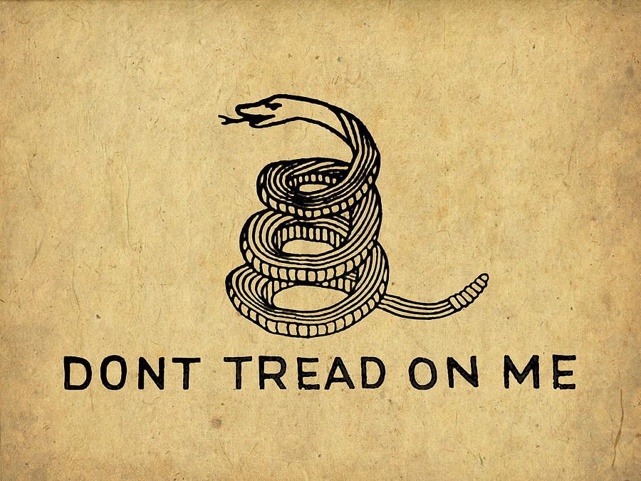 Don't Tread On Me Digital Art - Dont Tread On Me by God and Count...