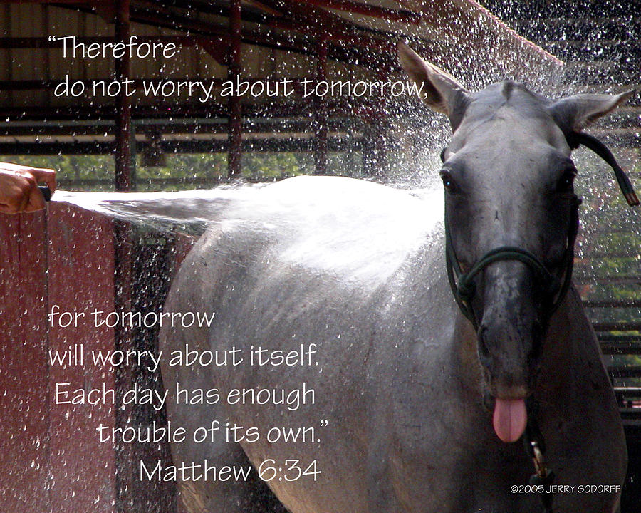 Dont Worry 21033 Photograph by Jerry Sodorff