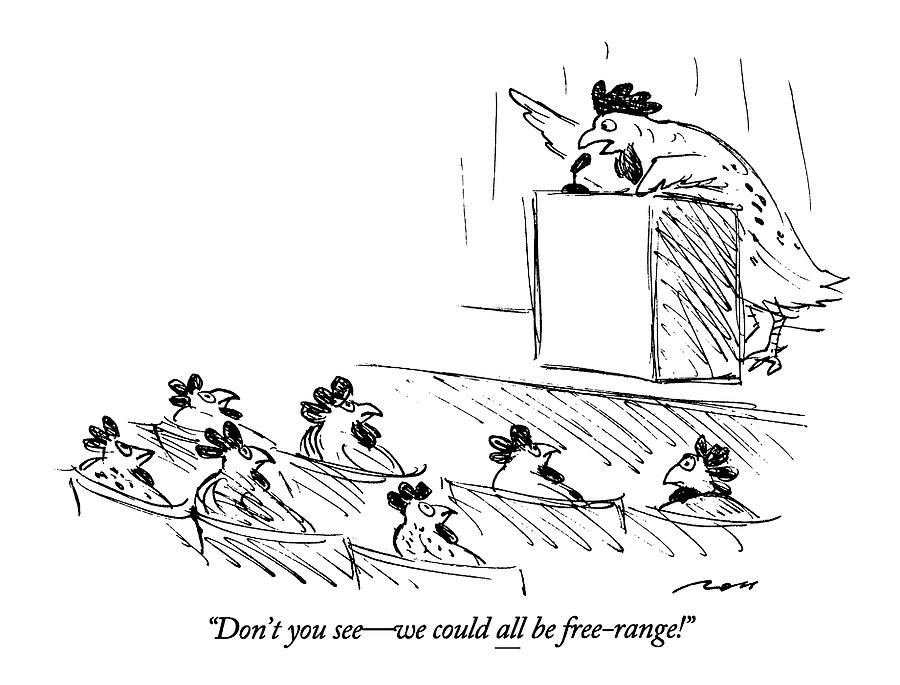 Dont You See - We Could All Be Free-range! Drawing by Al Ross