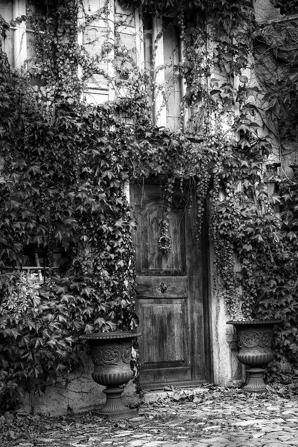 Door and Ivy BW 1 Photograph by Timothy Hacker