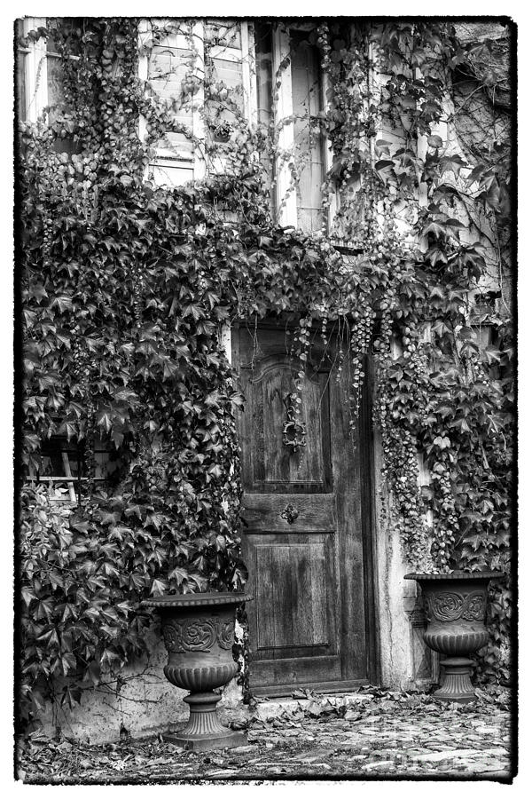 Door and Ivy BW Border Photograph by Timothy Hacker