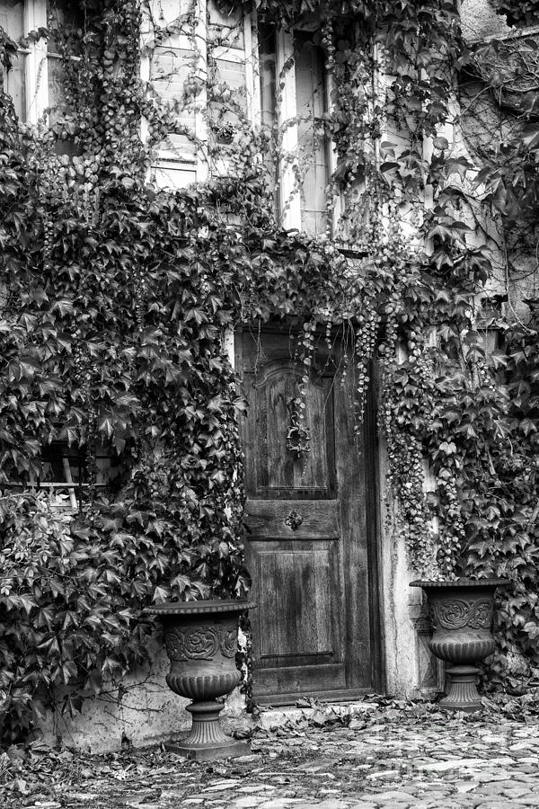 Door and Ivy BW Photograph by Timothy Hacker