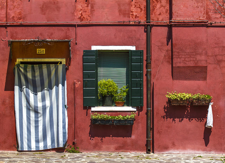 Door and window 258 Photograph by Roberto Pagani
