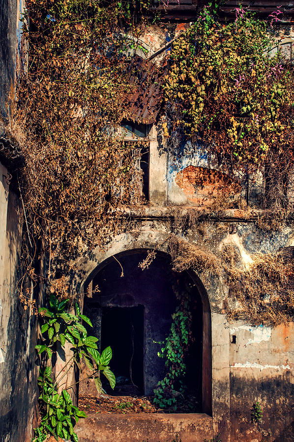 Door at Old Portuguese House. Goa. India Photograph by Jenny Rainbow