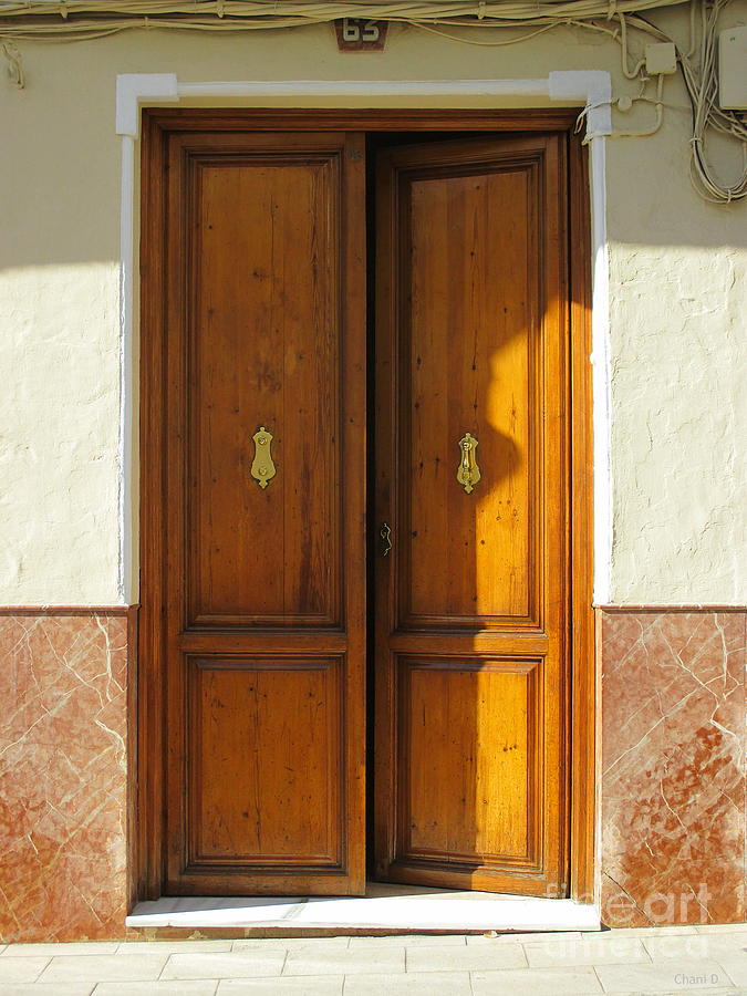 Door in Archidona Photograph by Chani Demuijlder