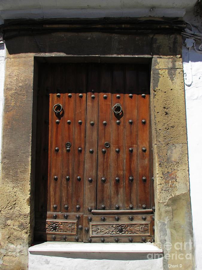 Door in Ronda Photograph by Chani Demuijlder