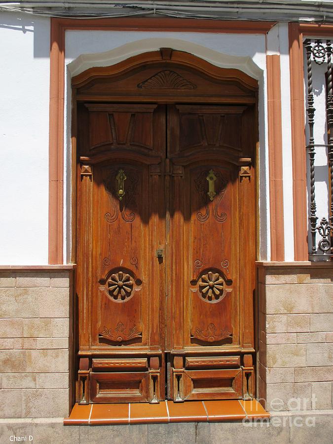 Door in Setenil Photograph by Chani Demuijlder