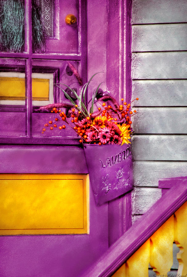 Door - Lavender Photograph by Mike Savad