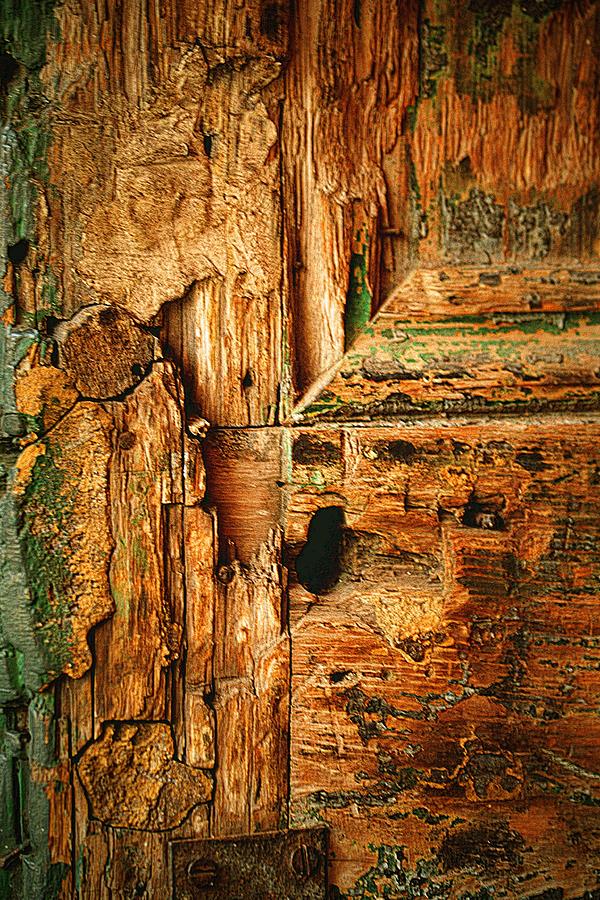 Door of Ages Photograph by Nadalyn Larsen