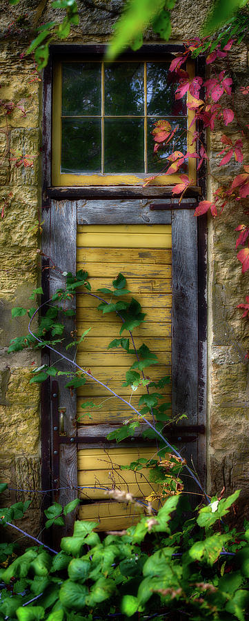 Door Of An Old Brewery In Mineral Photograph by Panoramic Images