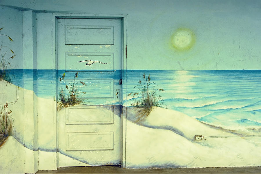 Door of Perception Photograph by Skip Hunt