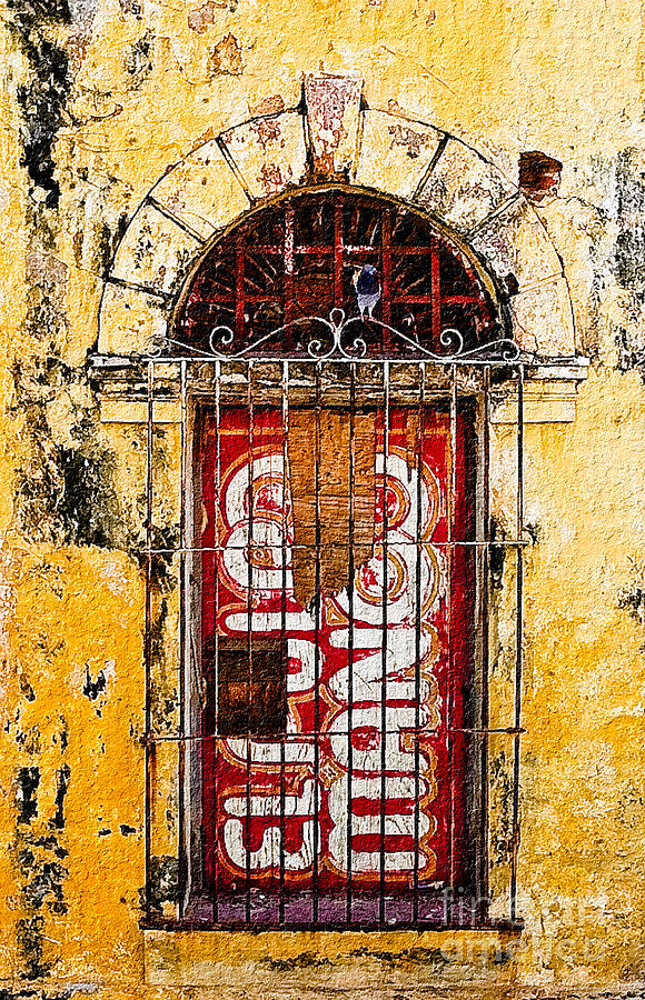 Door Series - Yellow Photograph by Susan Parish