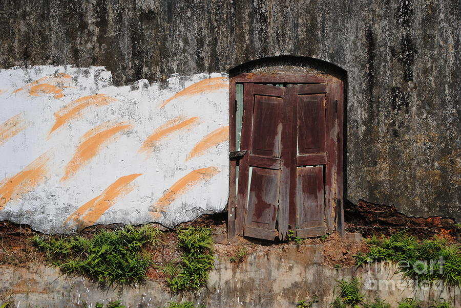 Door Study in Kochi Photograph by Jacqueline M Lewis