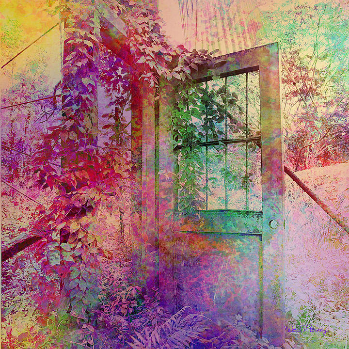 Door to My Dreams Digital Art by Barbara Berney