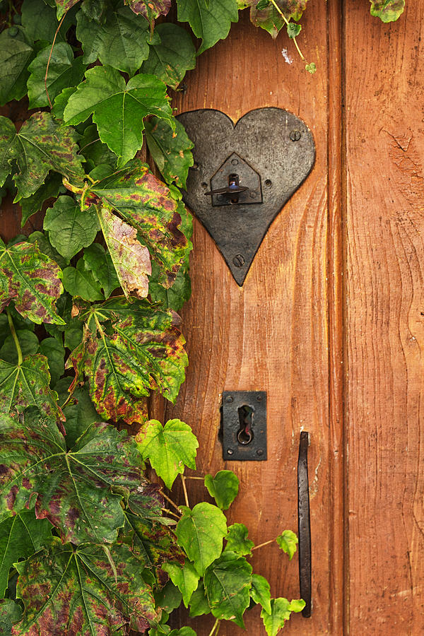 Fall Photograph - Door to my Heart by Georgia Clare