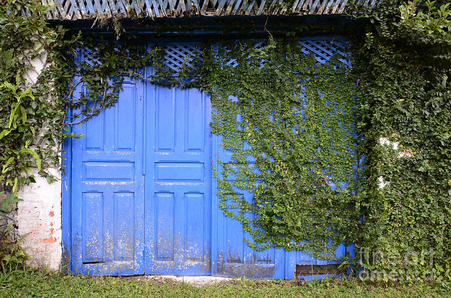 Doors And Windows Minas Gerais State Brazil 5 Photograph by Bob Christopher