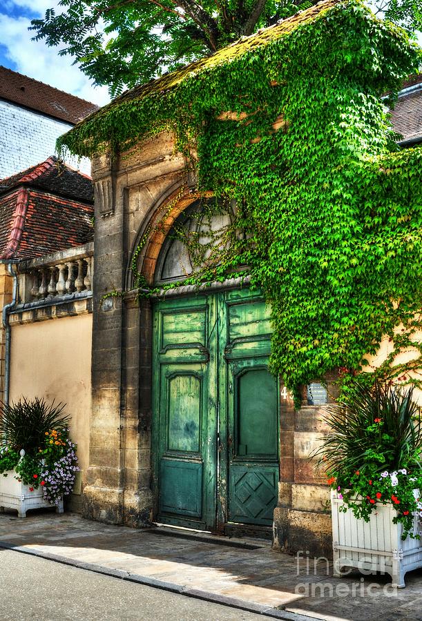 Flower Photograph - Doors Of Dijon 2 by Mel Steinhauer