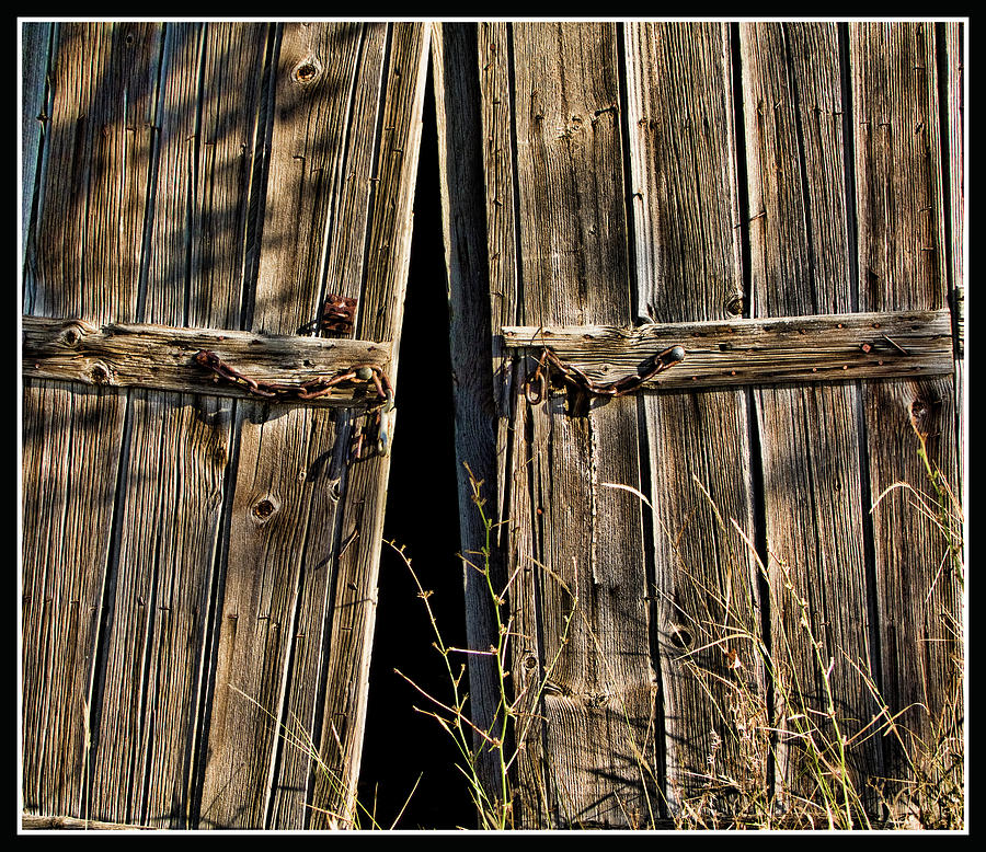 Doors Photograph by Ron Roberts