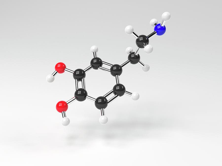 Молекула дофамина картинки