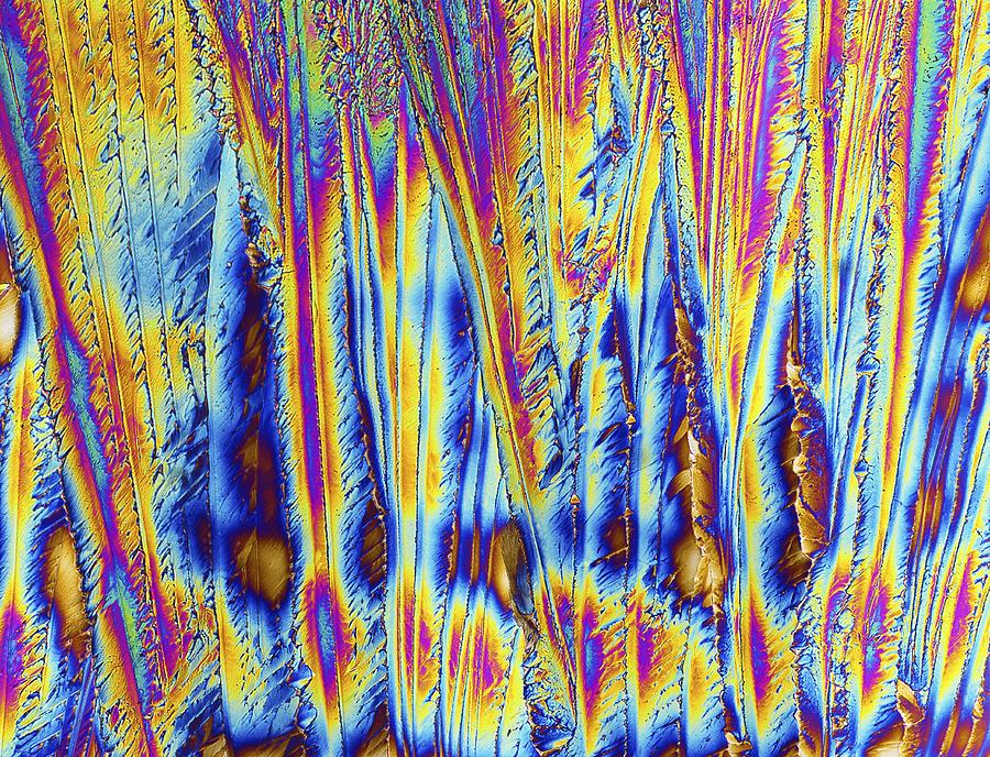 Biochemical Photograph - Dopamine, polarised light micrograph by Science Photo Library