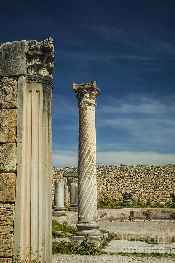 Corinthian column at Volubilis in Morocco Photograph by Patricia Hofmeester