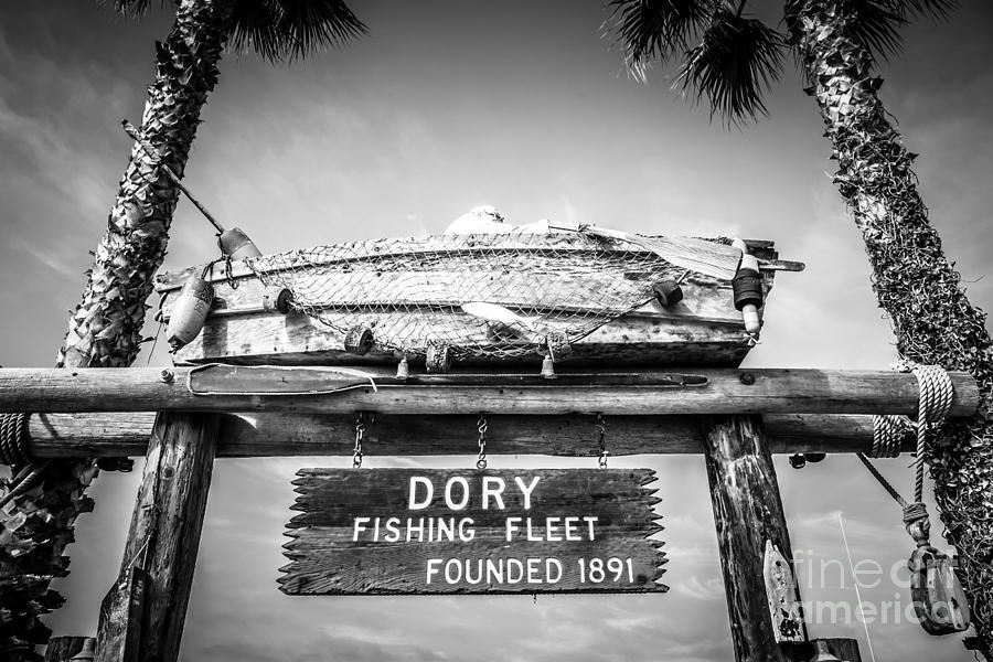 Dory Fishing Fleet Black and White Picture Photograph by Paul Velgos