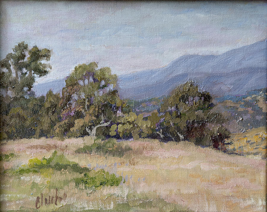 Dos Pueblos Canyon Painting by Patricia Cluche